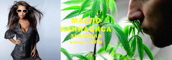 СК Алексин