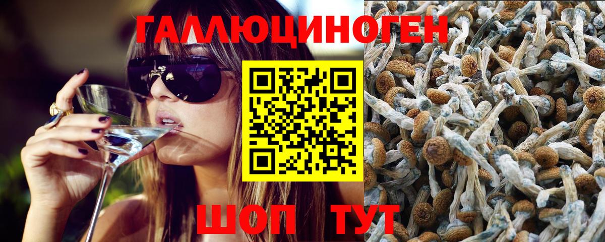 Псилоцибиновые грибы Psilocybine cubensis Нефтекумск