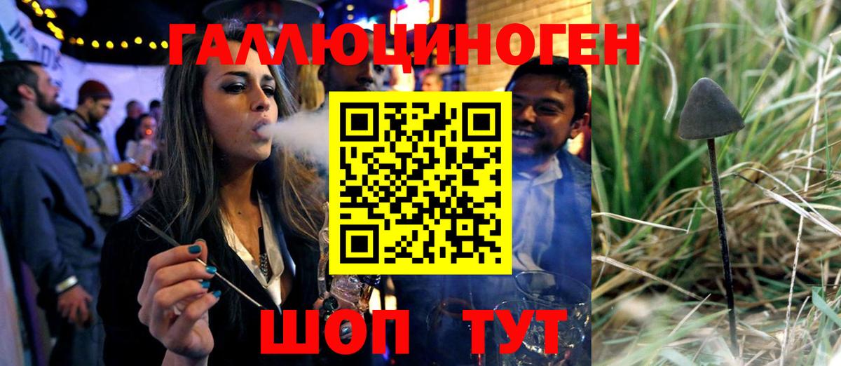 Нефтекумск  Псилоцибиновые грибы Magic Shrooms  Вход с VPN 